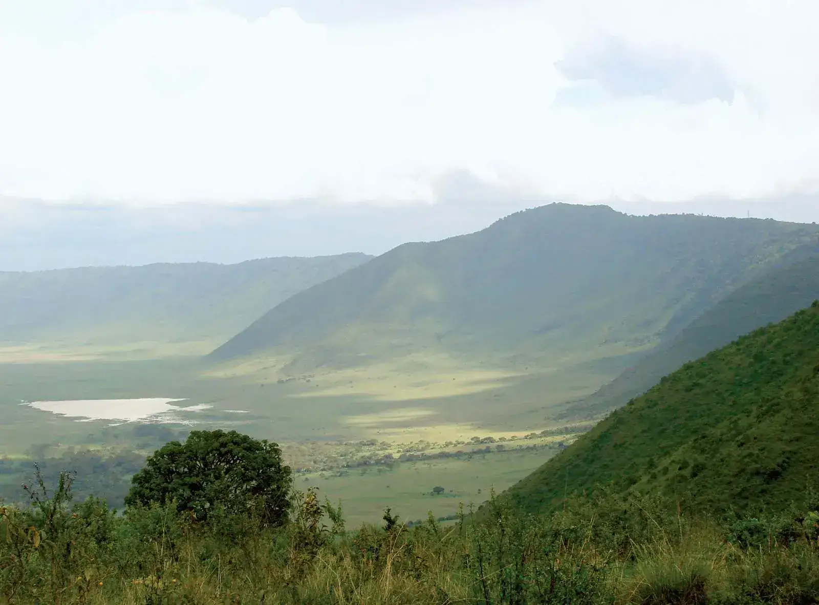 4 Days Serengeti Migration Safari & Ngorongoro Crater (Luxury)