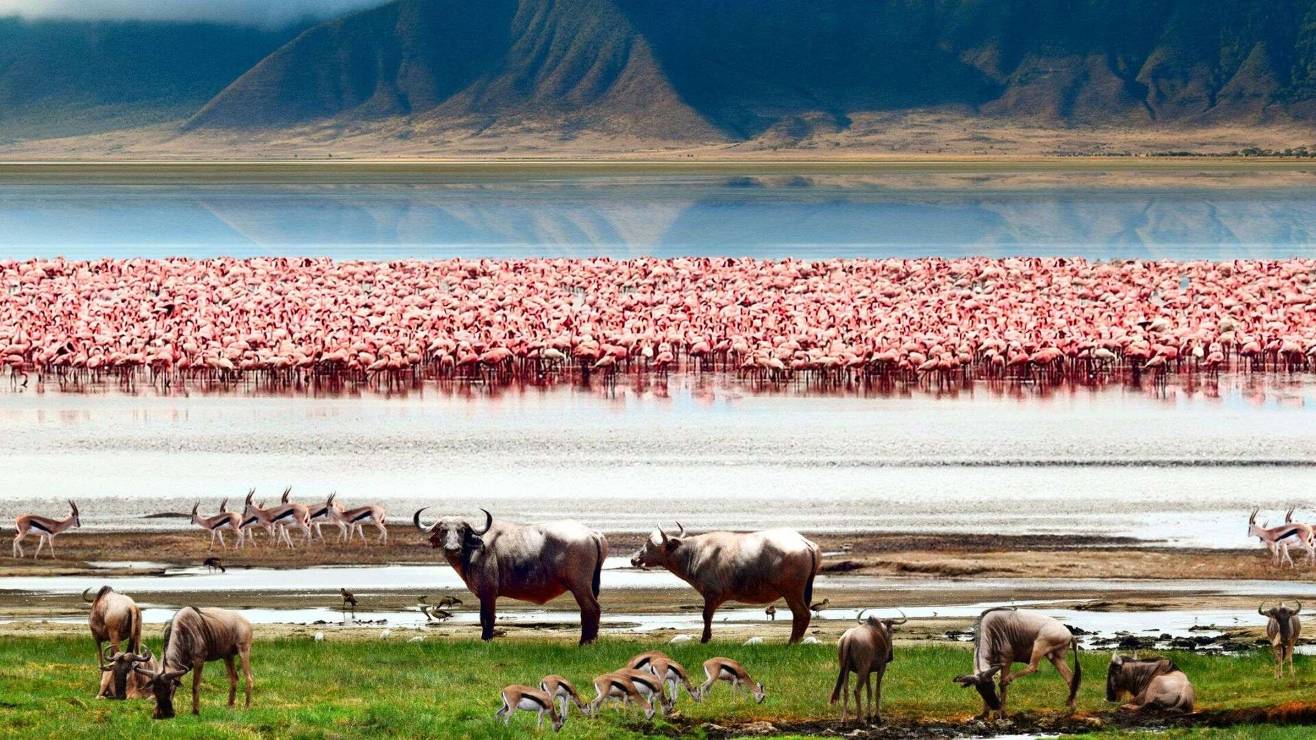 Scenic view of the Ngorongoro Crater, part of A Taste of Tanzania safari