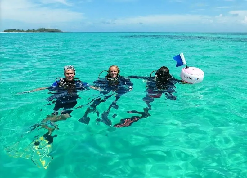 Snorkeling or diving in Zanzibar