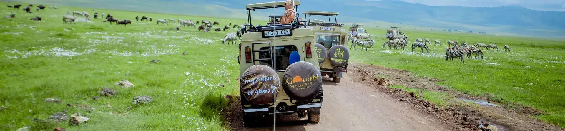 Kilimanjaro Climbing Guide: Routes, Cost, Preparation & Tips for 2026
