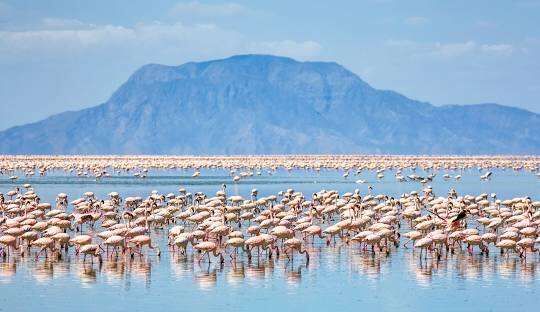Lake Natron