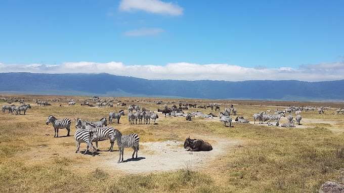 Ngorongoro Conservation Area