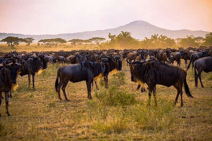 Serengeti National Park