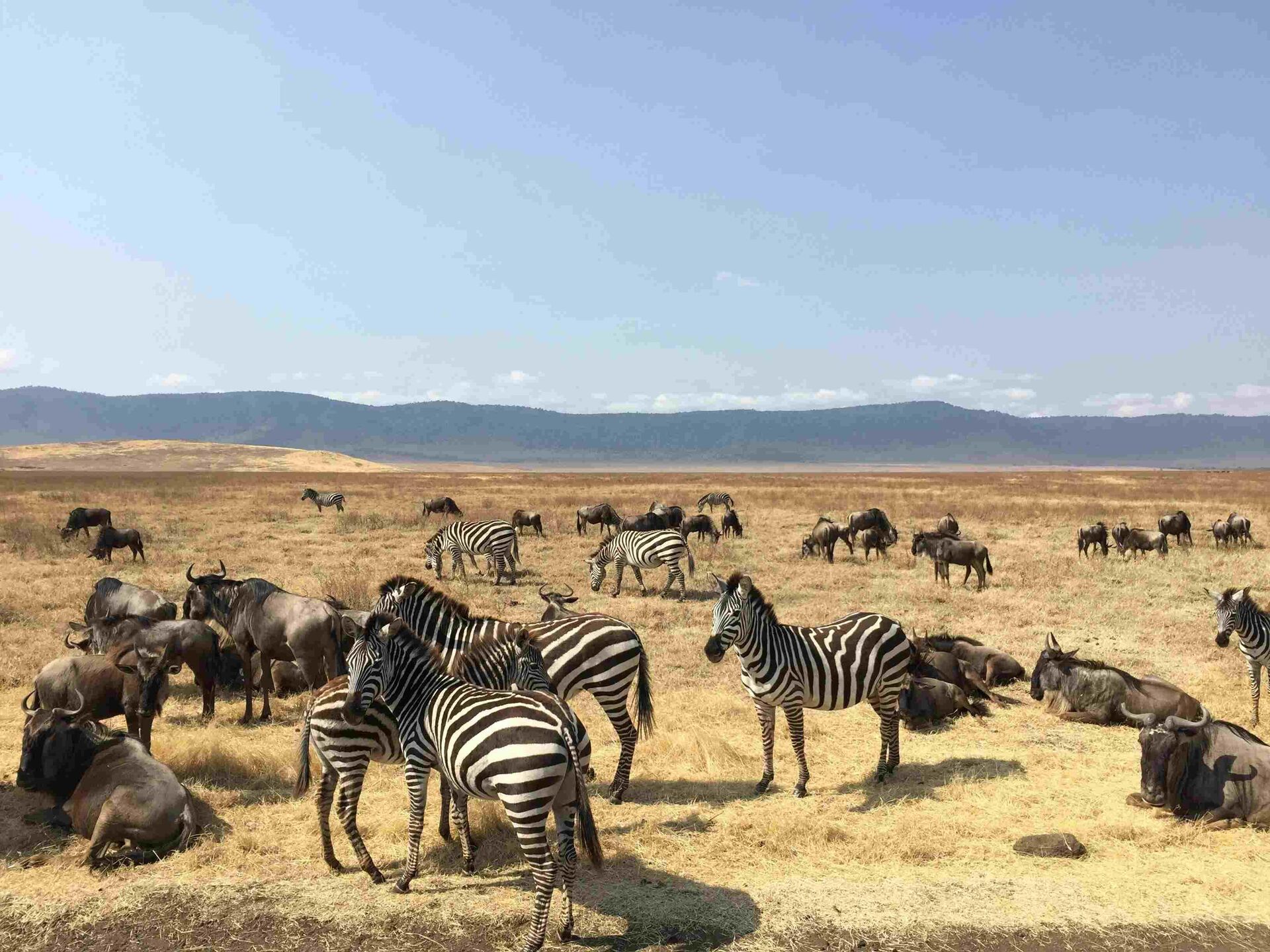 Ngorongoro Crater