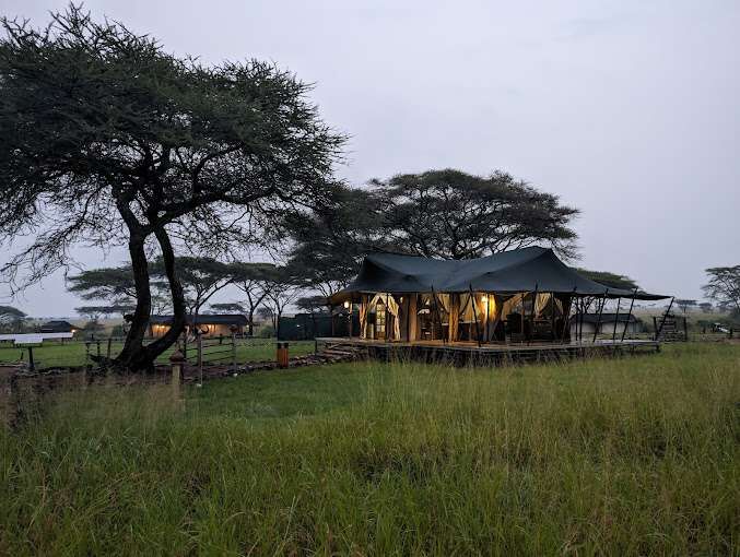Lush groundwater forest in Lake Manyara National Park