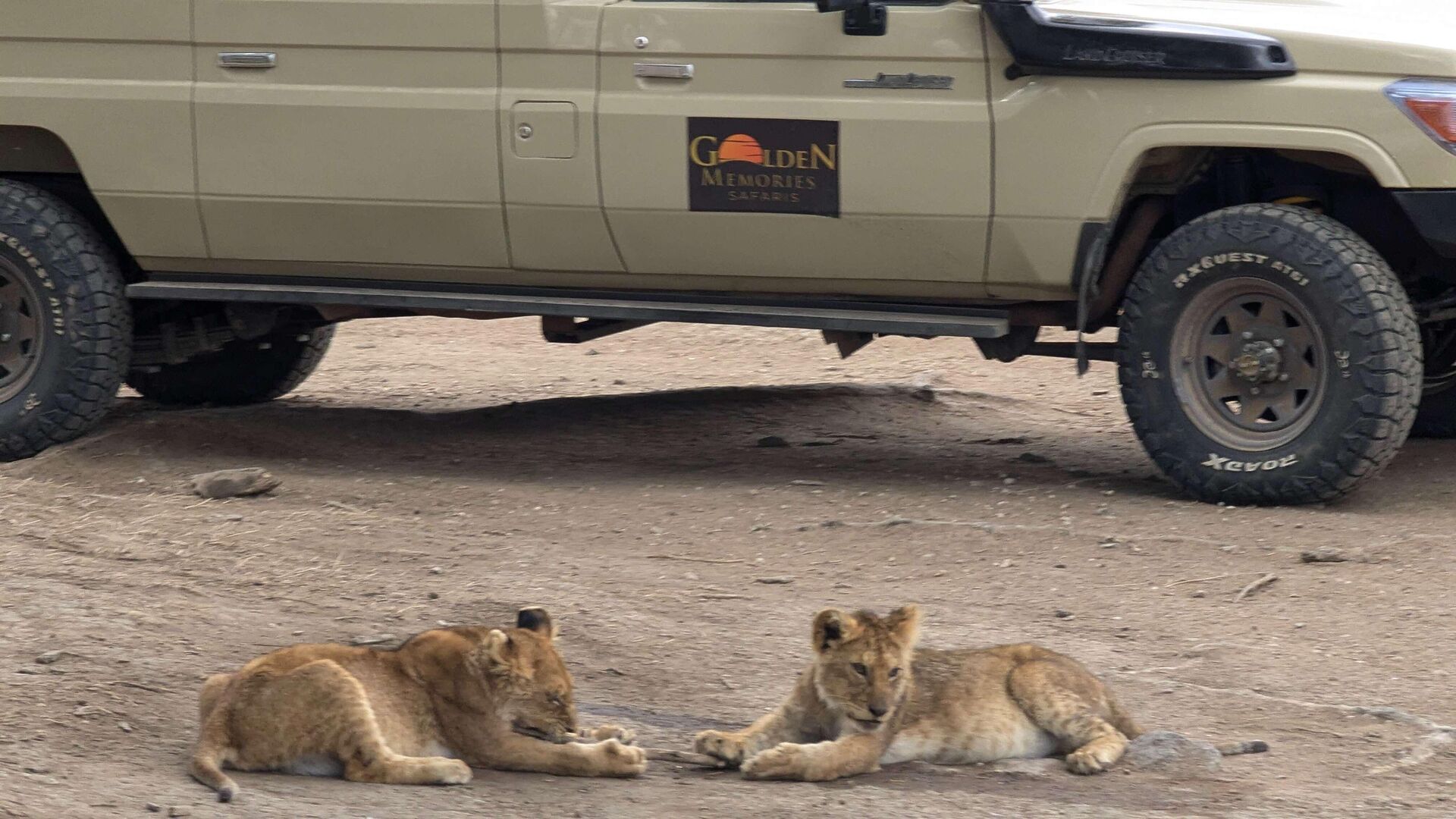 Golden hour in Serengeti