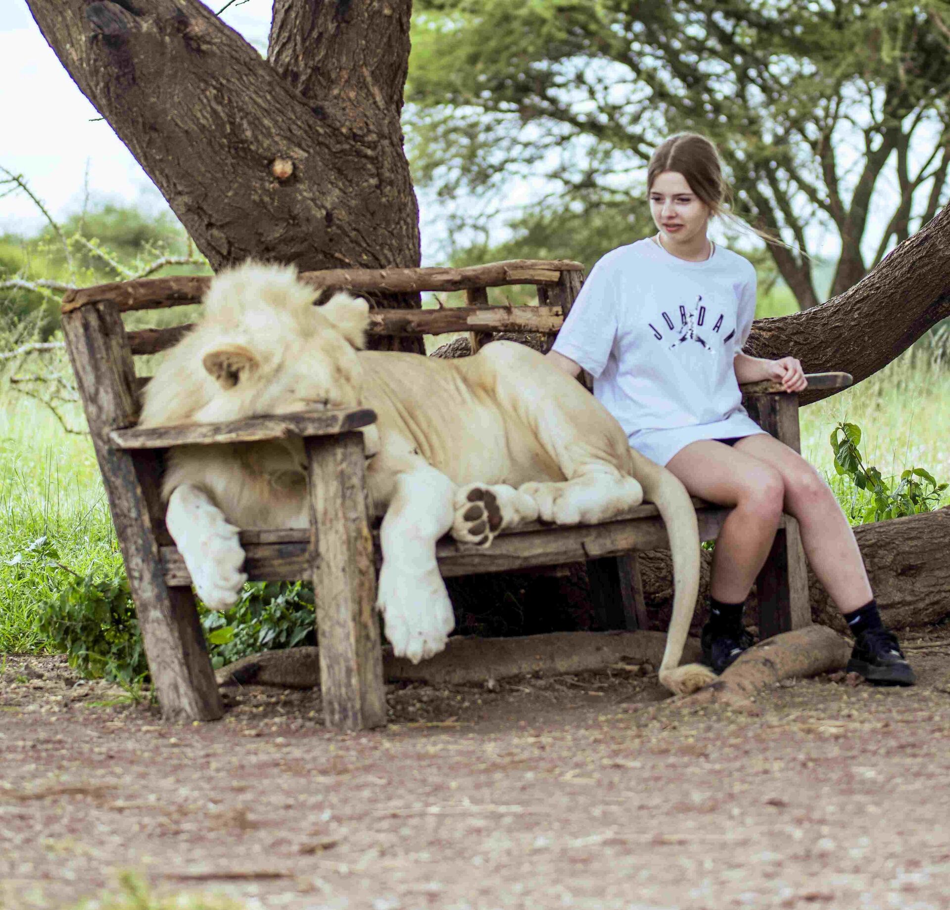 Close encounter with a lion at Serval Wildlife, part of the Selfie with White Lion day trip