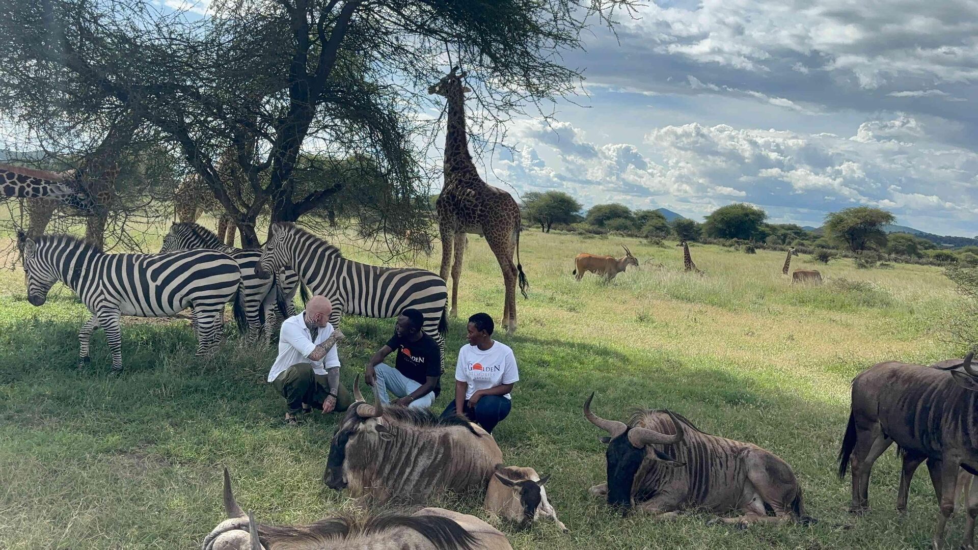 Combination of Tanzanian wildlife and culture