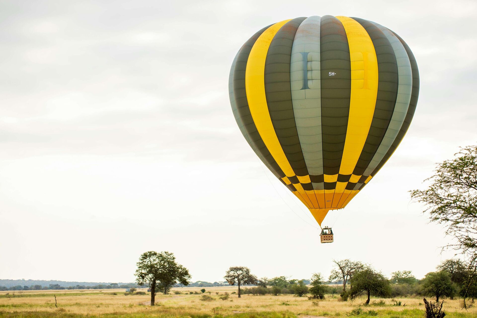 Safari vehicle near the Tarangire River with wildlife